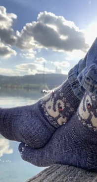 Swan Lake Socks by Charlotte Stone - Stone Knits - Updated