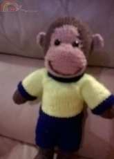 Funny Monkey
