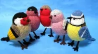 Garden Birds by Alan Dart