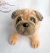 svetlana2211- Svetlana Komarova - Pug - Spanish