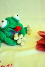 Irina Gareeva - Frog - Russian
