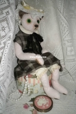 Teddy cat