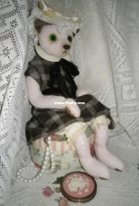 Teddy cat