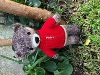 Little Bear
