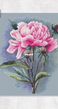 M&E Stitch - Peony Magic by Eva Stitch and Morra Marran