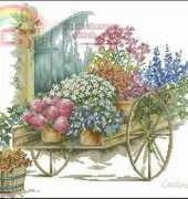 Lanarte  PN-0216157 Cart 34425 XSD