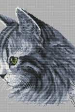 Gray Cat by Ekaterina Tarasova