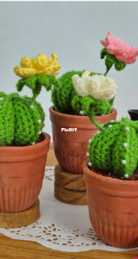 mycreativebutterfly - Natasha J / Natasha Jonathan - Easter Lily Cactus