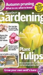 Amateur Gardening - 24 October 2020