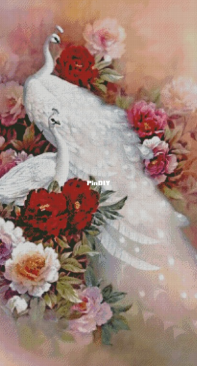 Chimera - Peacocks on Peonies