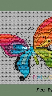 Colorful Butterfly by Lesya Burkat / naiwory - Free