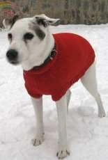 Odd Old Dogs Coat by von Hinterm Stein-Eng.,German-Free