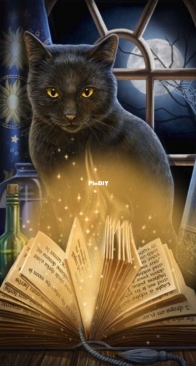 HAED HAELIP 21362 Bewitched - Large Format by Lisa Parker