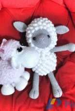 Sheep