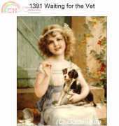 Golden Kite GK 1391 - Waiting For The Vet
