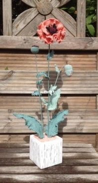 Yvonne Blanker - Papaver Orientale - Oriental Poppy - Dutch - Free
