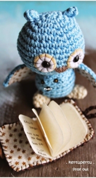 Kertupertu - Kertu Lubi - Little Owl with Book - Kleine Eule mit Buch - German