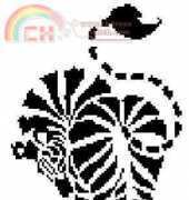 zebra
