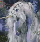 HAED HAE LAP101 Moonlight Serenade by Laura Prindle XSD