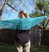Shepherds Lark Shawlette by Jo Ellen Burton/free