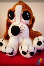 Boris, The Basset Hound Puppy