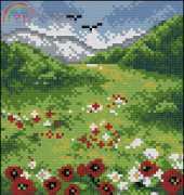 Poppy Field