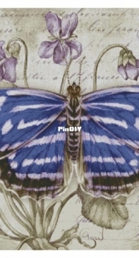 Chimera - Butterfly Vintage 8 by Jane Shasky PCS