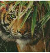 Kustom Krafts KK 35027 Emerald forest
