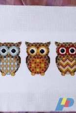 Owls Galore