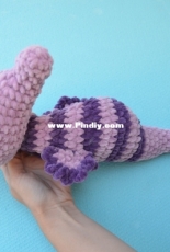The seahorse