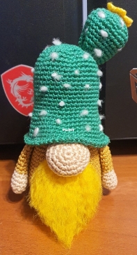 My Pampino Cactus gnome