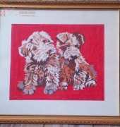 Cute little dogs