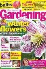 Amateur Gardening - 19 November 2016