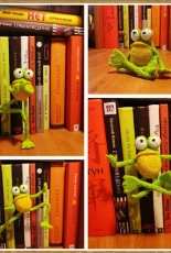 Natalia Shumova- Mr. Frog the yoga master - Russian- Free