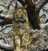 DMC - K5256 Siberian Lynx
