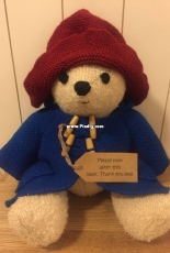 Paddington Bear - Alan Dart