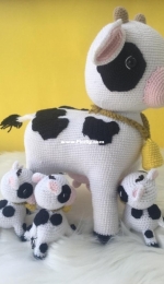 Calves drinking milk