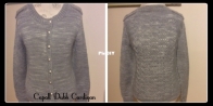 My first Cardigan Capall Dubh