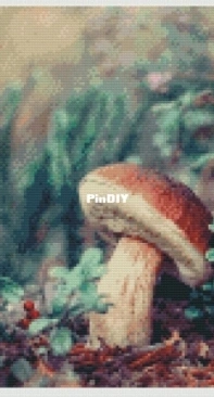 Mushroom by Katrine Damon/ Кэтрин Дэман xsd
