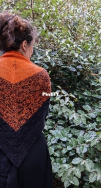 Haunting Hollow Shawl by Olivia Hoak-Free