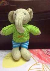 Elephant boy