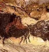 HAELCD 105 QS 2 Buffalo - Lascaux Cave Paintings