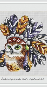 Owl Spirit Animal by Katerina Besperstova