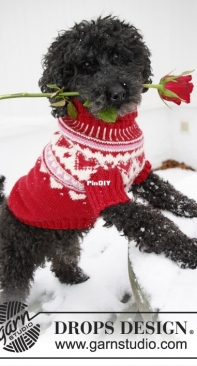 Drops Design - Valentino Dog Sweater  - Spanish - Free