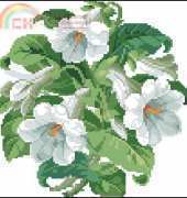 OOE 11544 Trumpet Flowers