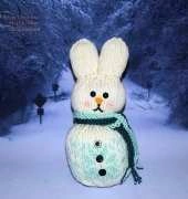 Snowbunny by Kalliopi Aronis/free