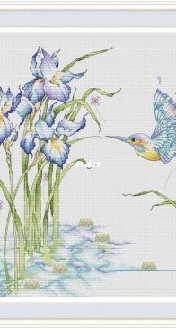 Hummingbird And Irises by Alla Erohova