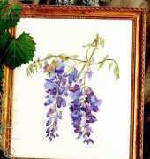 Janet Powers Originals 30018 Wisteria