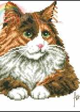 Vervaco 70.062 Cat by Francien van Westerling pcs