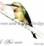 HAED HAEMMB 52 Little Bee Eater by Malcolm Bowling